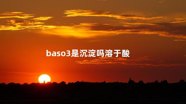 BaSO3可溶于酸吗
