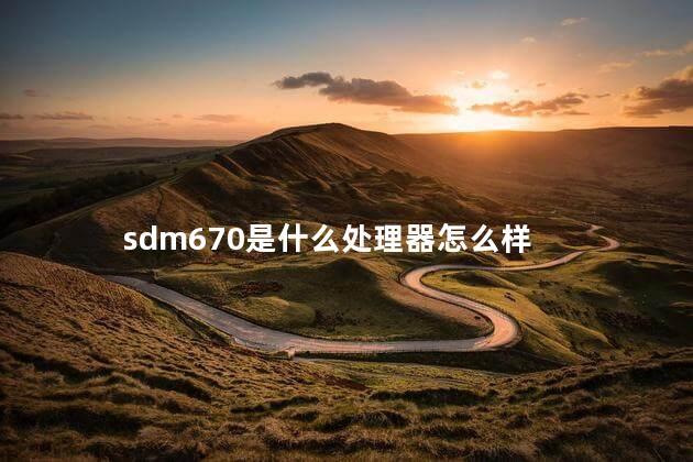 sdm670是什么处理器